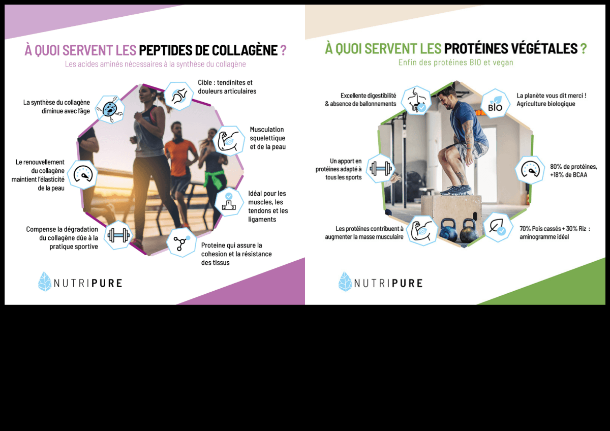 Peptides de collagene et proteines vegetales Nutripure